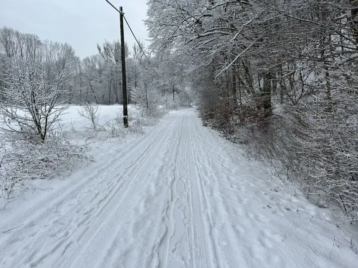 Zasněžená cesta lesem