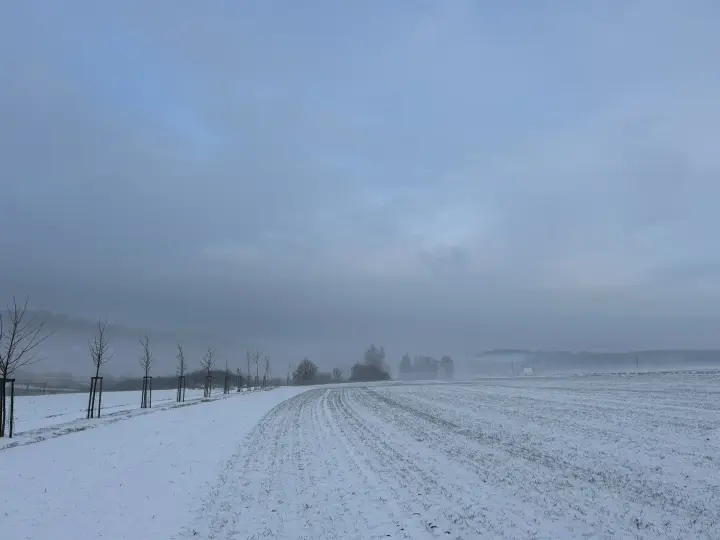Zasněžené pole
